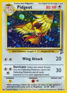 Pidgeot